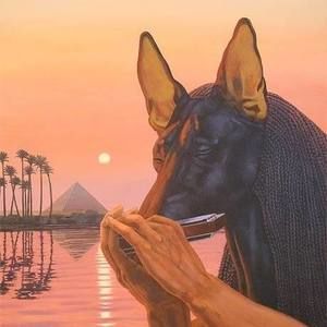 Meet your Posher, Joolz